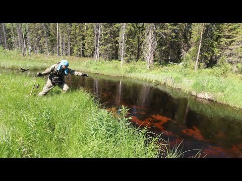 Видео: РЫБА ЕСТЬ. Рыбалка на малой реке. Ультралайт на таёжной речке. Рыбалка на севере. Супер результат!