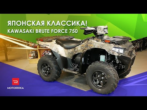 Видео: Kawasaki Brute Force 750. Японская школа!  #motorrika #kawasaki