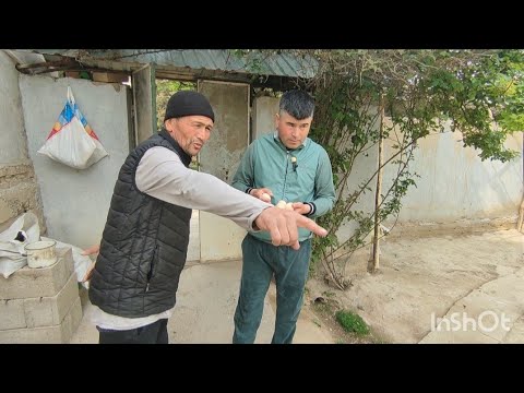 Видео: НАМАНГЛИК ПАРВОЗ БАХОДИР АКА ДАКАНЛАРИ/ ПАРВОЗЛАР УЧУН МАХСУС ВИДЕО ХОШИМОВ ТВ ДА ЯНГИЛИК