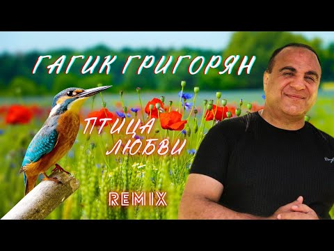 Видео: Гагик Григорян & Toto Music Production - Птица Любви (Remix)
