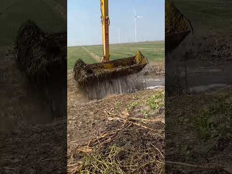 Видео: JCB поймал рыбу 🐠🐟 из реки [154]