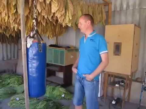 Видео: Ферментация табака 1 часть.( tobacco fermentation)