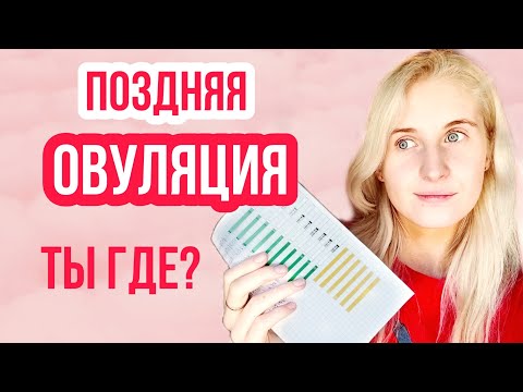 Видео: ПОЗДНЯЯ ОВУЛЯЦИЯ ◈ ЛОВИМ ОВУЛЯЦИЮ ◈ ПЕРВЫЙ ЦИКЛ АКТИВНОГО ПЛАНИРОВАНИЯ ◈ МАЙ ◈ Часть 1