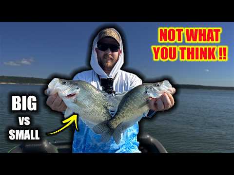 Видео: ЭТО ПРОСТОЕ изменение ПОМОГАЕТ ОПРЕДЕЛИТЬ ОГРАНИЧЕНИЯ ОСЕННЕГО КРАППИ!!