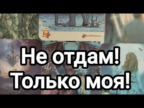 Видео: Не отдам! Только моя!😍❣️💯🌞💌❤️На расстоянии, в паузе.Что решил, что происходит?🤔💯❤️