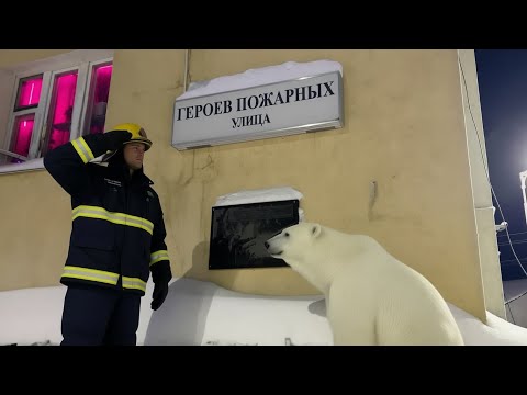 Видео: Арктика. Салехард. Музей ЦУКС. Ночной город.