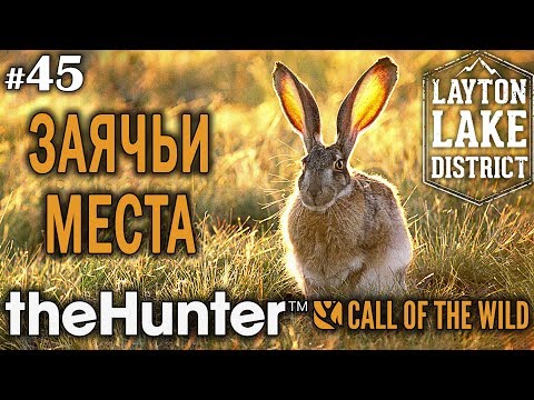 Видео: theHunter call of the wild #45 🔫 - Заячьи Места - Винтовка - Заяц