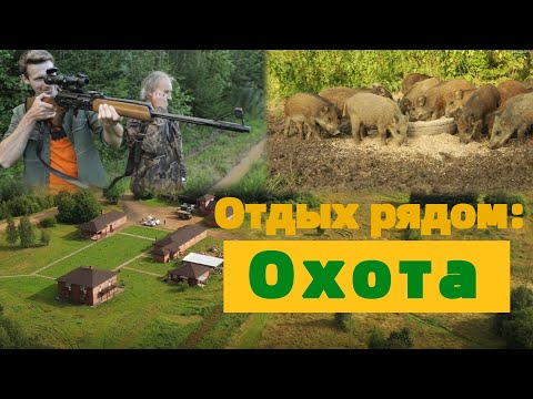 Видео: Охотхозяйство ИЛЬИНСКОЕ: настоящий мужской отдых | Маршрут Выходного Дня