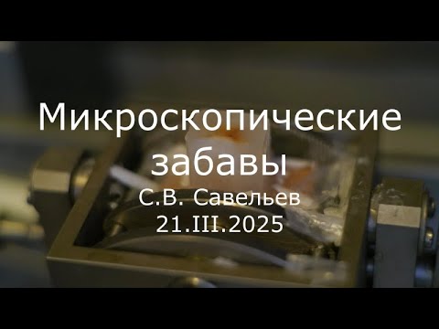 Видео: С.В. Савельев - Микроскопические забавы
