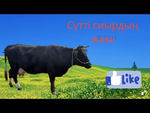 Видео: Сүтті сиырлар жемі,