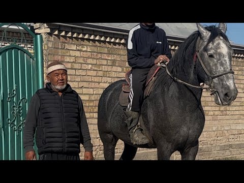 Видео: Темир Акеден 3 жаш бою1.65 +996-553-231-171.  18 ноября 2025 г.