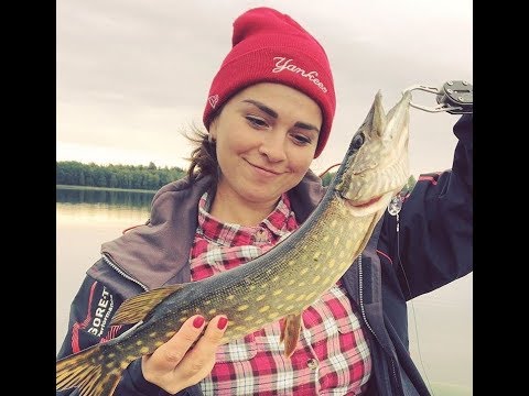 Видео: Лес. Костёр.Отдых с ночевкой на берегу ледникового озера.Из архива