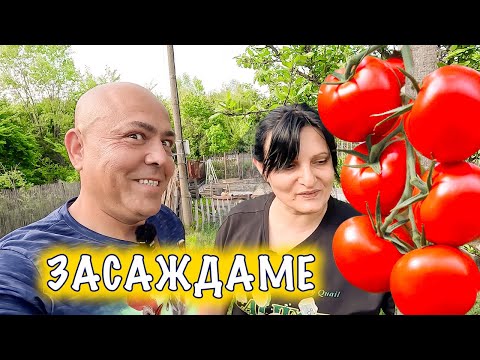 Видео: Закъсняхме със засаждането на доматите, но трябваше да догледаме Ергенът!