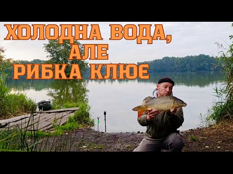 Видео: НА ЩО ЛОВИТИ КОРОПА ПО ХОЛОДНІЙ ВОДІ? ФЛЕТ-ФІДЕРНА РИБОЛОВЛЯ.