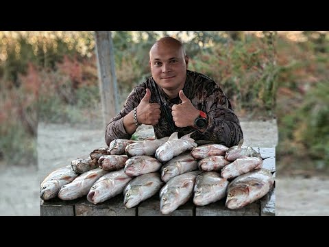 Видео: Да сколько его здесь? Полный отрыв по осеннему жереху