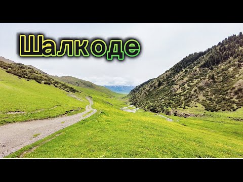 Видео: Долина Шалкоде | Перевал Кетмень | 18-19 мая 2024