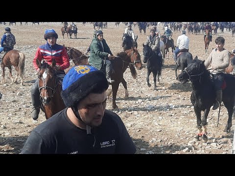 Видео: Аспи Зафар Рухулов бо номи Эвропа Афросиёб пахлавон.