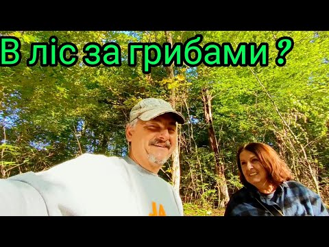 Видео: Стільки грибів назбирали, ще й перепросили не повірите.