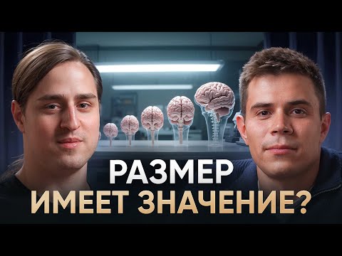 Видео: О мозге, сознании, опытах на животных и болезнях | Владимир Алипов