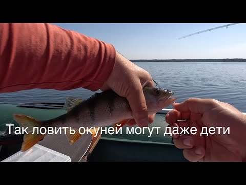 Видео: Ловим окуней с младшим сыном  Учимся ловить на спиннинг