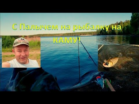 Видео: С Палычем на рыбалку на КАМУ!