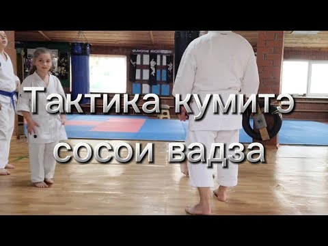 Видео: Тактика кумитэ