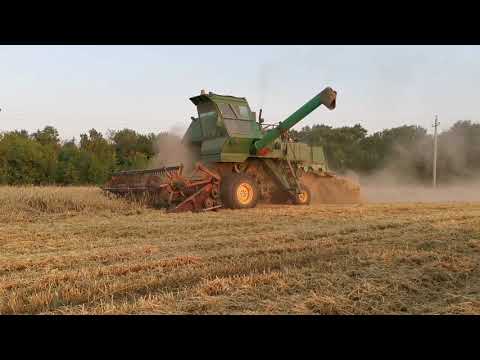 Видео: Уборка полёглых хлебов комбайном СК - 5 Нива.