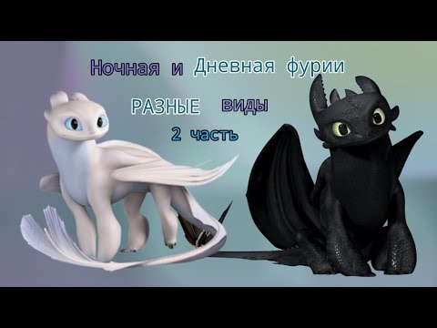 Видео: Ночная и Дневная фурии - РАЗНЫЕ виды, 2 часть