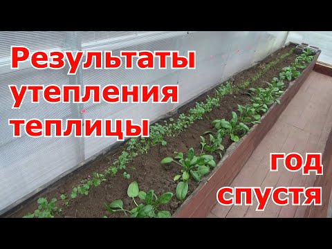 Видео: Утепленная теплица из поликарбоната за счет отсекания холода и промерзания грунта спустя сезон.