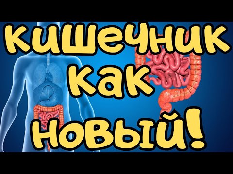 Видео: Кишечник как новый! Просто ешь это!