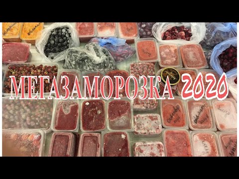 Видео: ЗАМОРОЗКА овощей и фруктов на зиму/Обзор моей заморозки