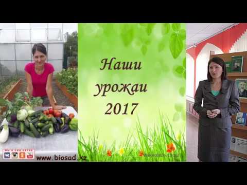 Видео: Урожаи в природном земледелии (наши урожаи 2017 (Семинар))
