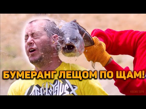 Видео: Да будет так, и так будет! БУМЕРАНГ лещом по щам!