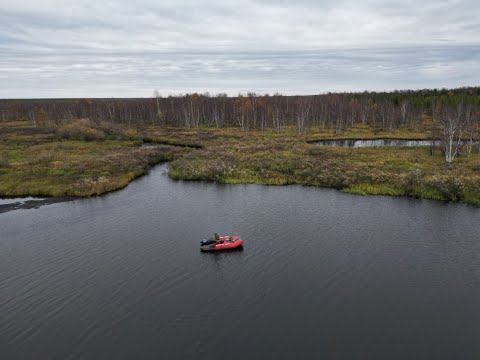 Видео: Рыбалка на р. Етыпур, щука на спиннинг, налим на закидушки. часть 1