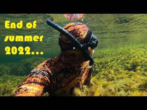 Видео: Да изпратим лятото с няколко дни подводен риболов!