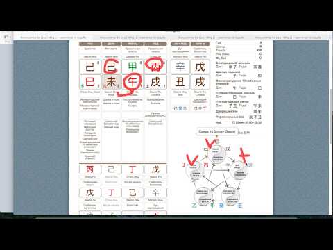 Видео: 3 способа выбора профессии в бацзы (на примерах карт Ольги Бузовой, Дональда Трампа)