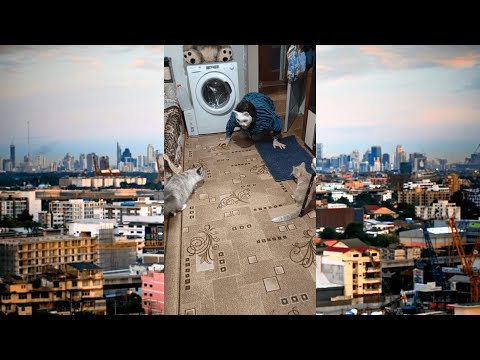 Видео: ТИК ТОК КРИНЖ #192