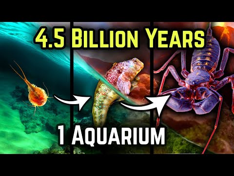 Видео: Симулируем 4,5 МИЛЛИАРДА лет эволюции... в моей спальне
