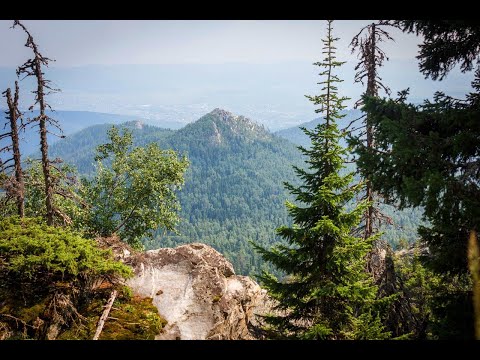 Видео: Гора Малиновая, Белорецк-Отнурок, Большая Южно-Уральская тропа, Уральский Барс #малиновая #белорецк