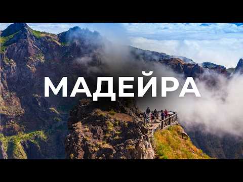 Видео: Чому МАДЕЙРА — найкрасивіший острів Європи? Вічна весна, левади і дороги над океаном