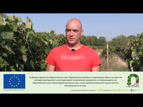Видео: Софтуерни инженери стават винопроизводители и вдъхват нов живот на българското село