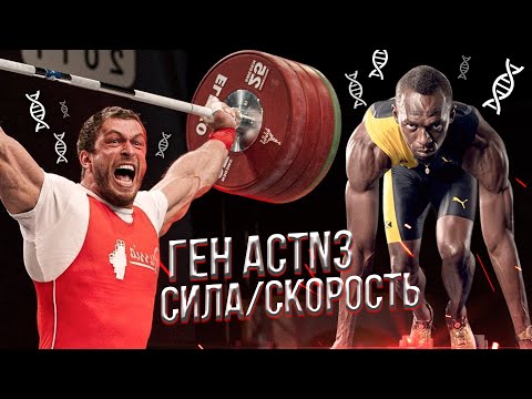 Видео: Генетика в спорте / Ген ACTN3 / Сила и скорость мышцы