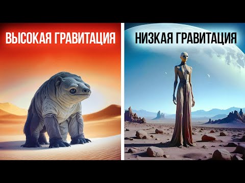 Видео: Какой была бы ваша жизнь на планете с высокой гравитацией
