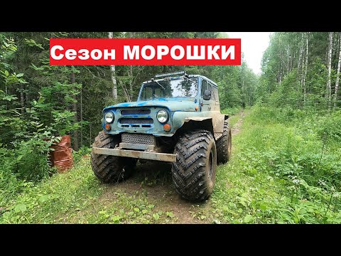 Видео: В лес с детьми на вездеходе. Сезон морошки.//Into the forest with children on an all-terrain vehicle