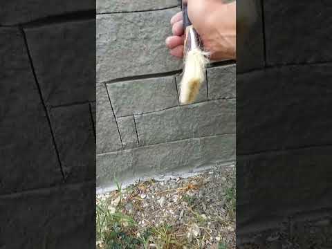 Видео: Плиточный клей. кусочек порезки камня...