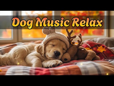 Видео: Музыка для релаксации собак 🐕 | Успокаивающие звуки для снятия стресса и тревоги разлуки 🎶