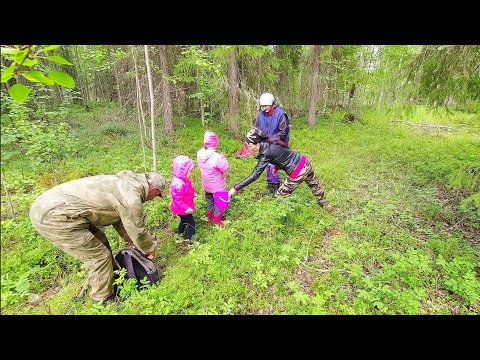 Видео: ПОЕХАЛИ В ТАЙГУ С МАЛЕНЬКИМИ ДЕТЬМИ ЗА ЯГОДАМИ / СОБИРАЕМ ЧЕРНИКУ ДЛЯ ВАРЕНЬЯ. СБОР СЕВЕРНОЙ ЯГОДЫ.
