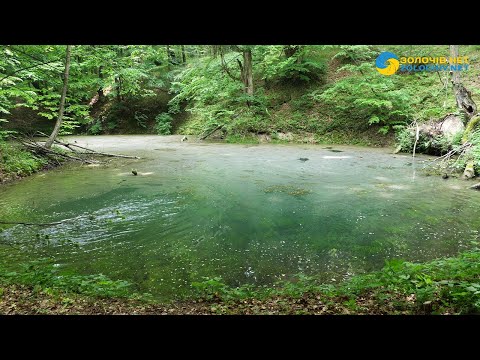 Видео: Виняткове диво природи - “Сині вікна” у Золочівському районі