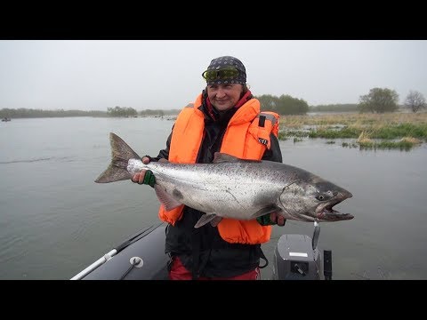 Видео: Рыбалка на чавычу 2018 ч.1