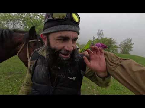 Видео: Буйнакск могох